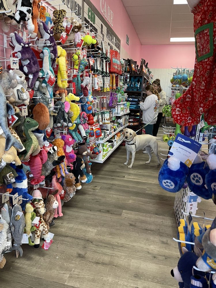 Woof Gang Bakery & Grooming Nocatee Image