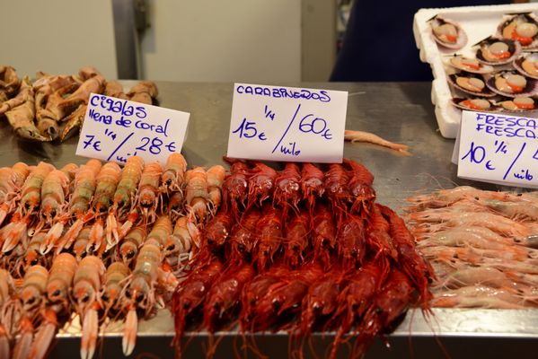 Mercado Central de Abastos de Cádiz by null