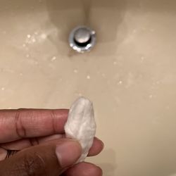 Chesapeake Pet Style - Mobile Grooming - 3 days later