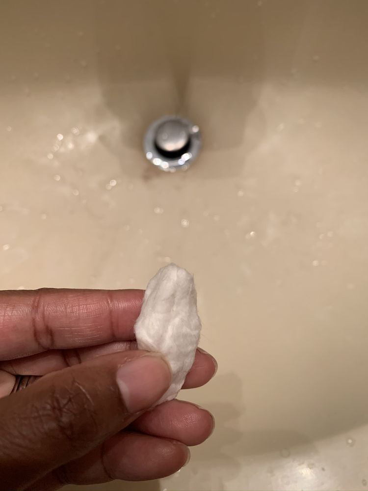 CHESAPEAKE PET STYLE MOBILE GROOMING Updated August 2024