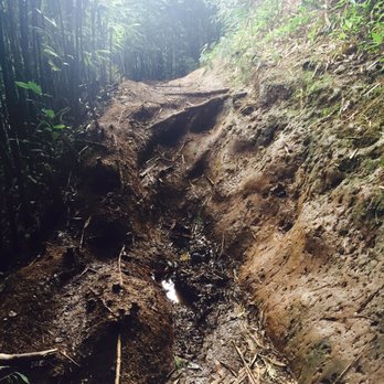 Aihualama Trail - Muddy - Hiking Near Me - Honolulu, Hawaii