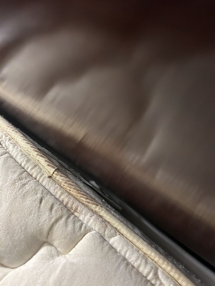 SpringHill Suites by Marriott Norfolk Virginia Beach - wedding in Norfolk, VA