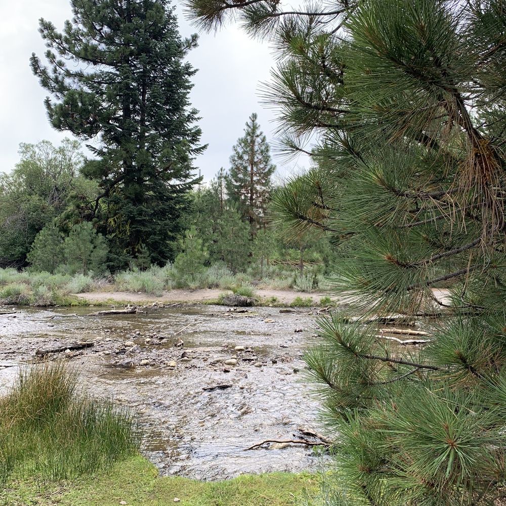 Manzanita Lake loop - Hiking Near Me
