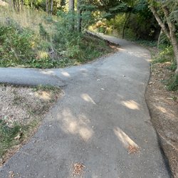 Creekside Park - Shaded paths