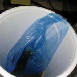 McDonald's - The service glove found in my tea.