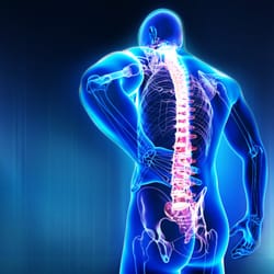 North Colorado Spine & Orthopaedics