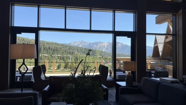 Wildflower Market by null