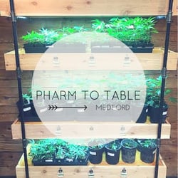Pharm To Table - Clones