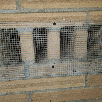 Thomas Wildlife Control & Roofing - Tacky covering to the brick on my exterior around the house. - Pest Control Near Me Thomas Wildlife Control & Roofing - Tacky covering to the brick on my exterior around the house. - Pest Control Near Me