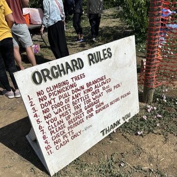 Marsh Creek Cherries - Orchard Rules - Pick Your Own Farms Near Me - Brentwood, California Marsh Creek Cherries - Orchard Rules - Pick Your Own Farms Near Me - Brentwood, California