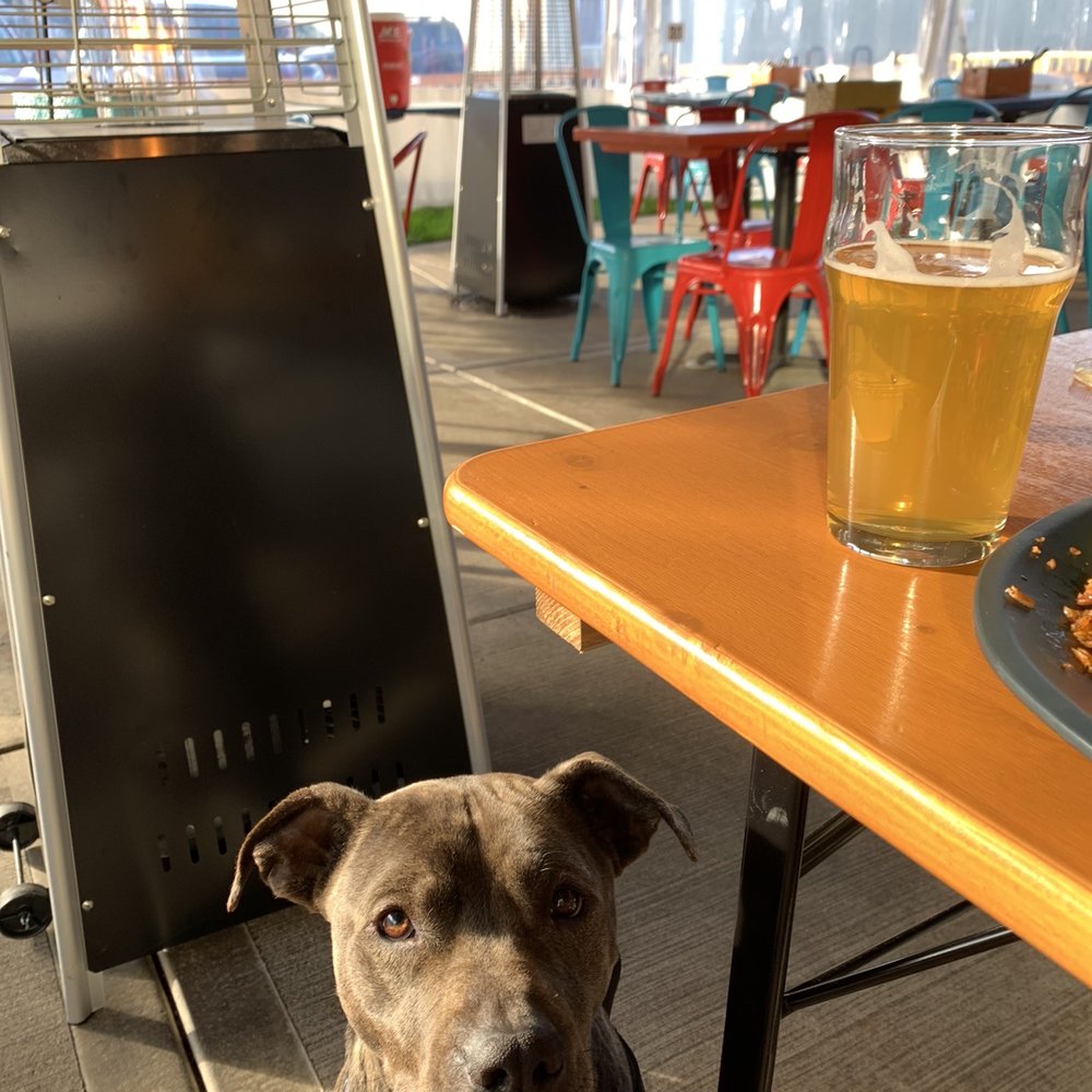 Xicha Brewing Company - Pet friendly out door patio with heat - Latin American Near Me - Salem, Oregon Xicha Brewing Company - Pet friendly out door patio with heat - Latin American Near Me - Salem, Oregon