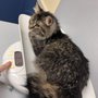 Photo of Citywide Pet Clinic