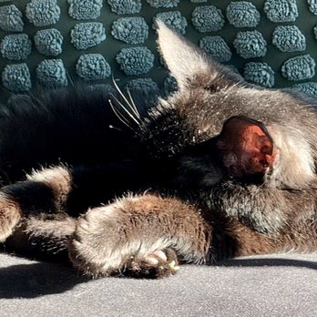 HEARTS ALIVE VILLAGE - Updated May 2025 - 247 Photos & 170 Reviews