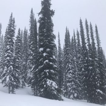 White N Wild Snowmobile Tours - Tours Near Me - Golden, British Columbia White N Wild Snowmobile Tours - Tours Near Me - Golden, British Columbia