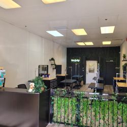 The Good Dog Spa - Our new cage free salon!