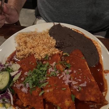 Casa Tina - Enchiladas Rojas veganized - Mexican Near Me - Dunedin, Florida