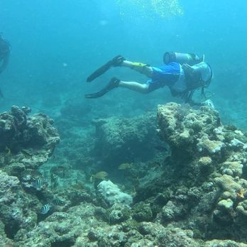 Sea Experience - Scuba Diving Near Me - Fort Lauderdale, Florida Sea Experience - Scuba Diving Near Me - Fort Lauderdale, Florida