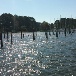 Rappahannock River Oysters