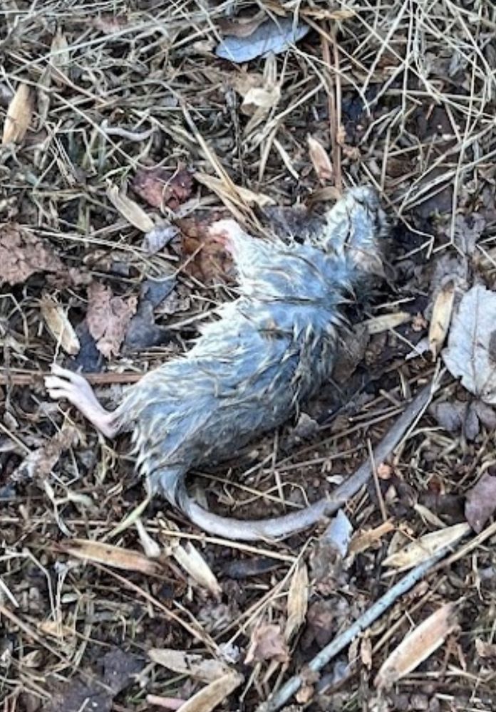 3500 THE VINE APARTMENTS Updated September 2024 119 Photos & 30