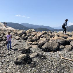 Whyte Islet Park