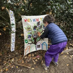 Parks Plus Creation - Our schedule of the day and the picture tree