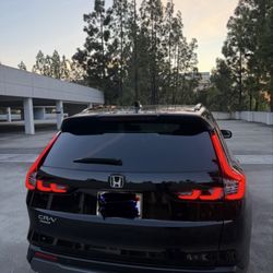 The Tint Monkey