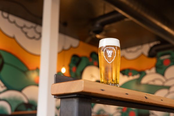 Aslan Brewing Tangletown by null