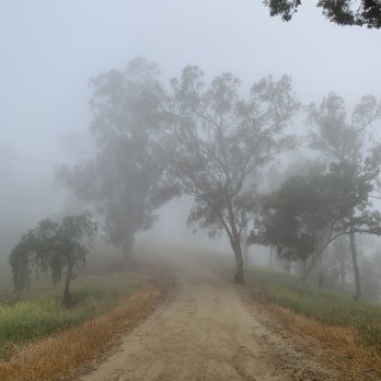 Murphy Ranch Park - Hiking Near Me - Whittier, California
