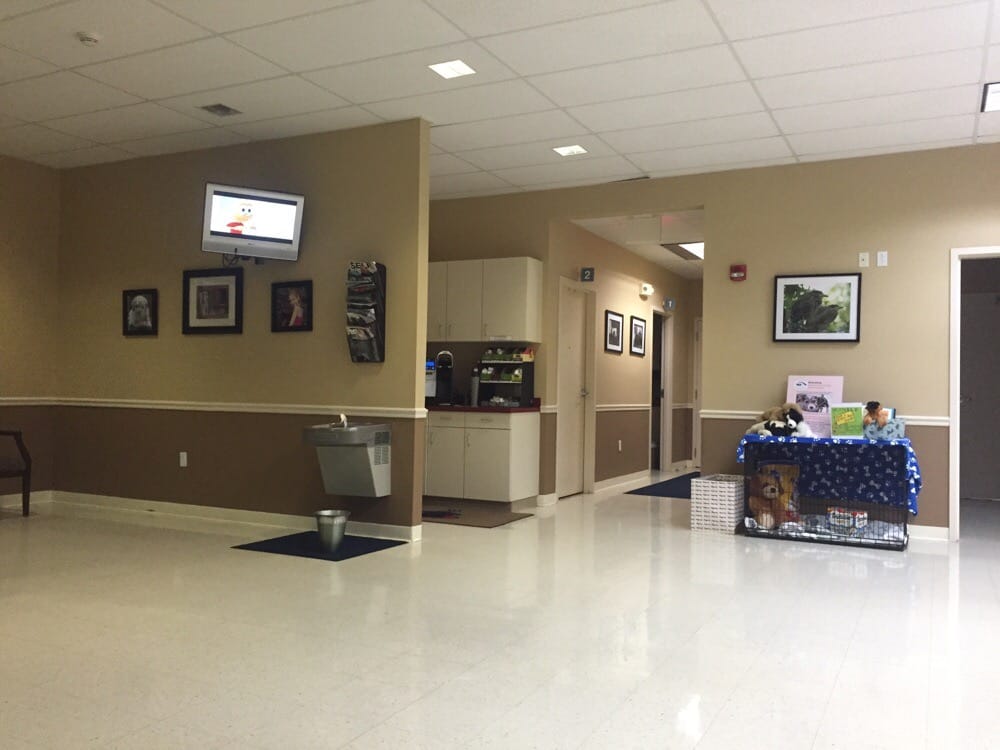 Veterinary Referral Shoreline Veterinary Clinic Veterinary Hotsell