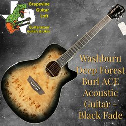 Guitarasaur Guitars & Ukuleles - Washburn acoustic electric guitar