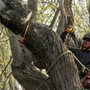 Photo of Monster Tree Service of Northern Rhode Island