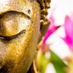 buddha-in-dir