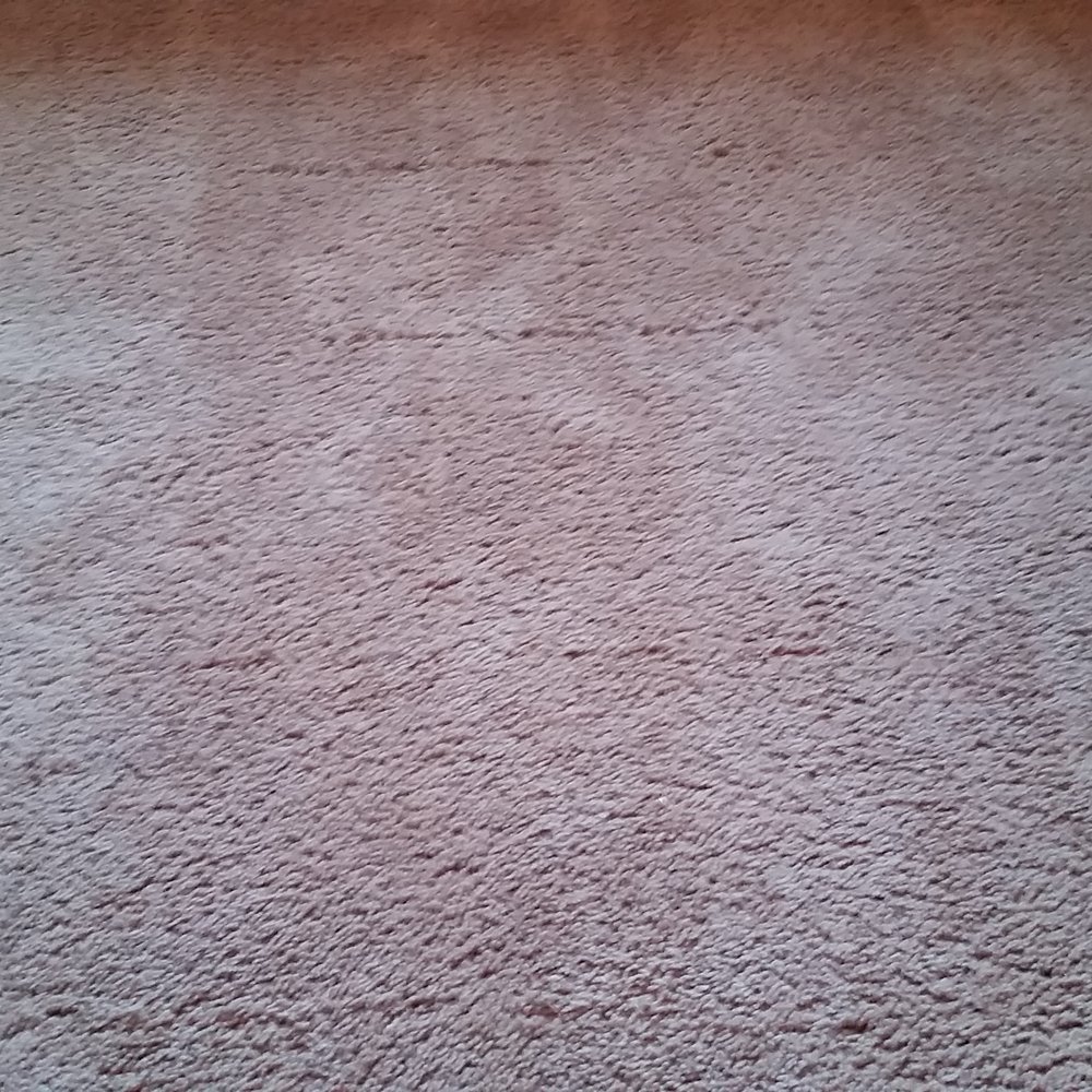 Chubby Chubby Carpet Cleaner - Tears from cleaning! - Carpet Cleaning Near Me - Puyallup, Washington