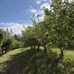Apple Lane Orchard