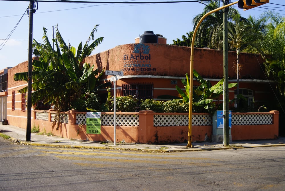 El Árbol