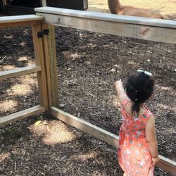New Britain Youth Museum At Hungerford Park