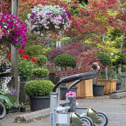 Yang's Nursery & Landscaping