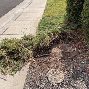 Prestige Irrigation - He helped us uncover our hidden water access! Didn't even know it was there. - Irrigation Near Me Prestige Irrigation - He helped us uncover our hidden water access! Didn't even know it was there. - Irrigation Near Me