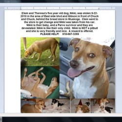 The Greater Muskogee Area Chamber of Commerce - Nikki was stolen in Muskogee...Help us...reward offered