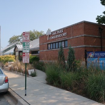 Oak Park Conservatory - Free albeit limited street parking right out front. - Parks Near Me - Oak Park, Illinois Oak Park Conservatory - Free albeit limited street parking right out front. - Parks Near Me - Oak Park, Illinois