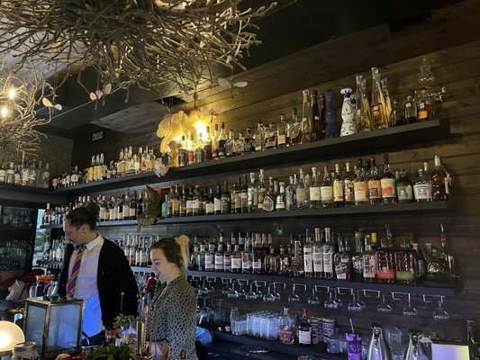 Hoot & Annie by null