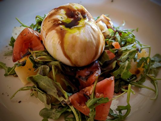 The Drunken Horse St. Augustine by null