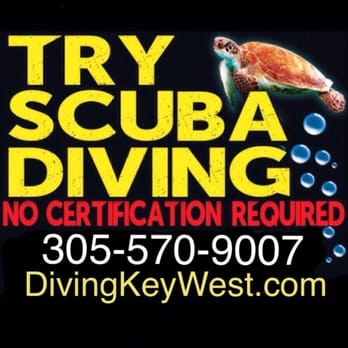 Try Scuba Diving - Key West - Scuba Diving Near Me - Key West, Florida