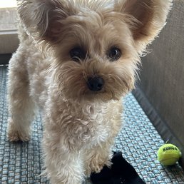 Monkey loves to visit Julie!!! Monkey loves to visit Julie!!!