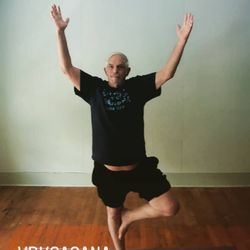 Sylva Yoga