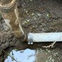 Executive Drains