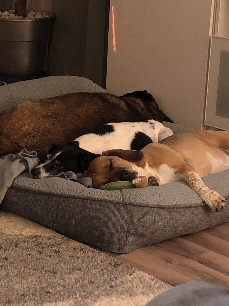 Kori Partovi - childcare center in Jonesboro, AR