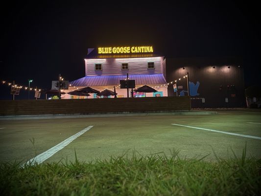 Blue Goose Cantina Mexican Restaurant by null