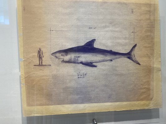 Martha's Vineyard Museum by null