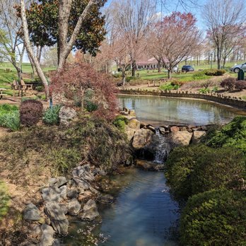 Shelton Vineyards - Wineries Near Me - Dobson, North Carolina
